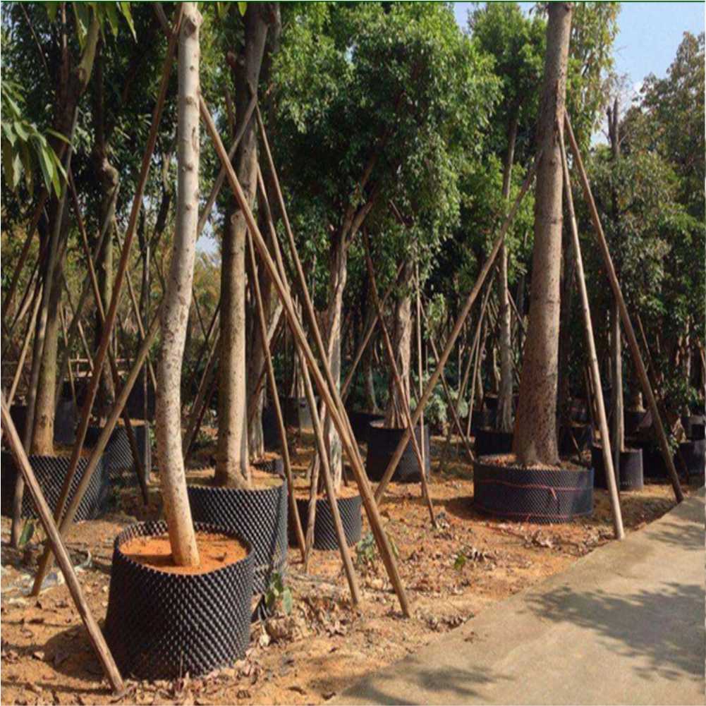 Maceta de cultivo para árboles - Garden Tools reseña y precio